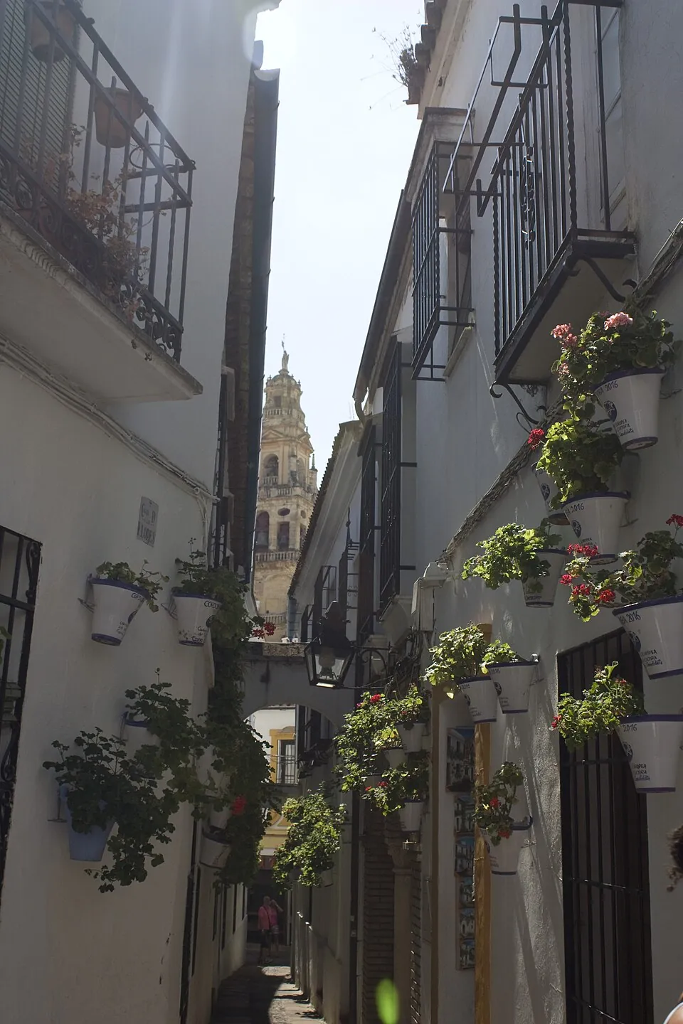 La Calleja de las Flores.