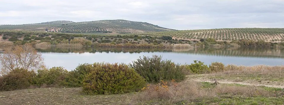 La laguna de Zóñar.