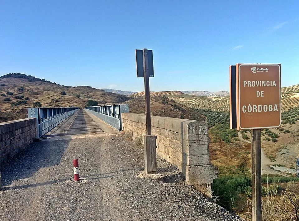 La Vía Verde de la Subbética, entre olivares.