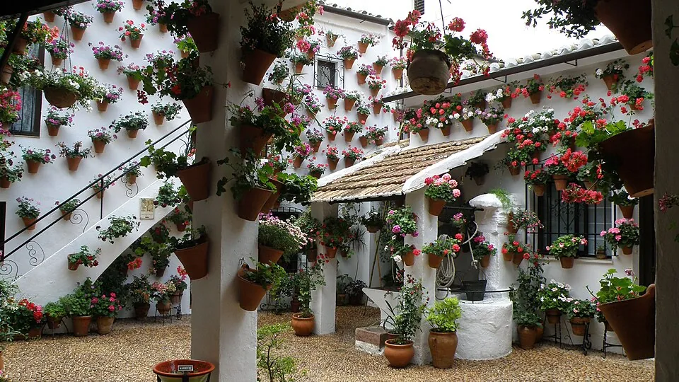 Un patio cordobés en mayo.
