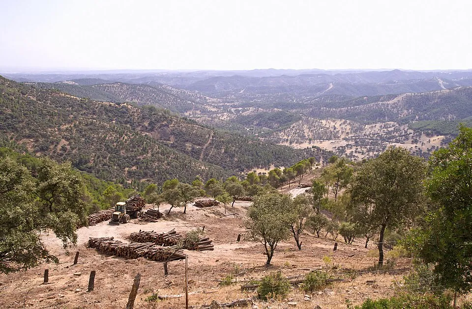 Dehesa de Los Pedroches.